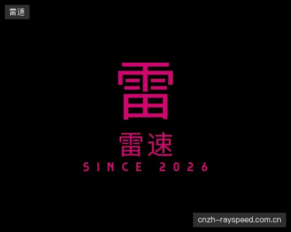 了解雷速机构